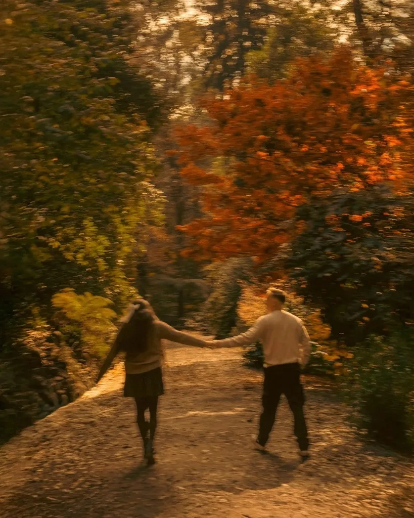 a couple holding hands as they walk down an autumn path, backlit in gold